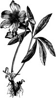VFL032A.TIF