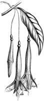 VFL031A.TIF