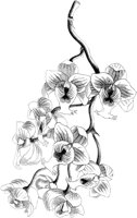 VFL030B.TIF