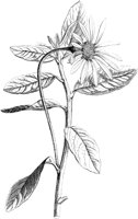 VFL030A.TIF