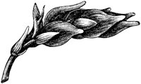 VFL029D.TIF