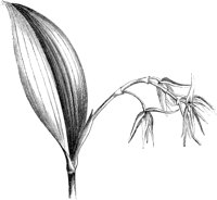 VFL029C.TIF