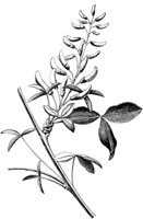 VFL029A.TIF