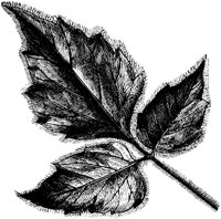 VFL028D.TIF