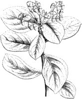 VFL028A.TIF