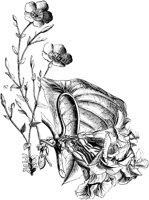 VFL027C.TIF