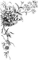 VFL026A.TIF