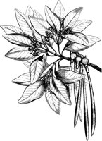 VFL024A.TIF