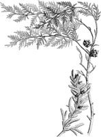 VFL023A.TIF