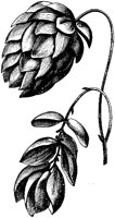 VFL022C.TIF