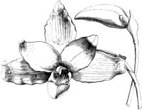VFL021B.TIF