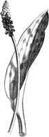 VFL019B.TIF
