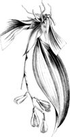 VFL018B.TIF