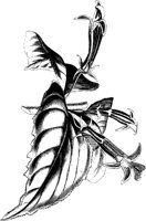 VFL017C.TIF