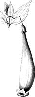 VFL017B.TIF