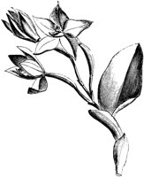 VFL016B.TIF