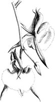 VFL014D.TIF
