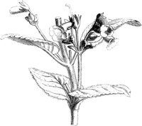 VFL014C.TIF