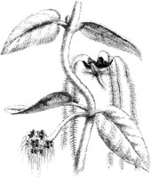 VFL014A.TIF