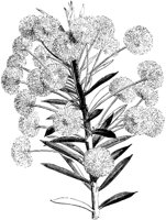 VFL012D.TIF
