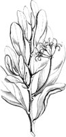 VFL011B.TIF
