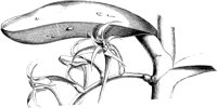 VFL011A.TIF