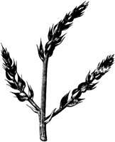 VFL009D.TIF