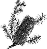 VFL009A.TIF