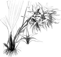 VFL004A.TIF