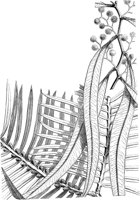 VFL003B.TIF