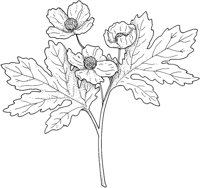 WFD076C.TIF