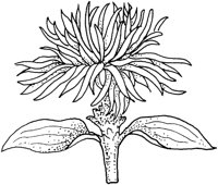 WFD076A.TIF
