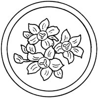WFD075A.TIF