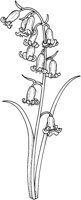 WFD074C.TIF