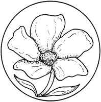 WFD074A.TIF