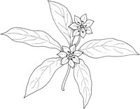 WFD073C.TIF