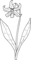 WFD072C.TIF