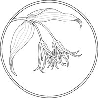 WFD068A.TIF