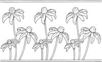WFD067B.TIF