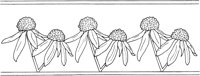 WFD067A.TIF