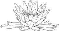 WFD066A.TIF