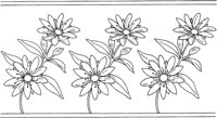 WFD065B.TIF