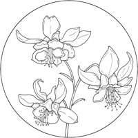 WFD064A.TIF