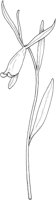 WFD063C.TIF