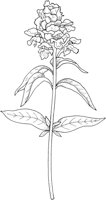 WFD063B.TIF