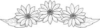 WFD063A.TIF