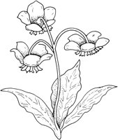 WFD062C.TIF