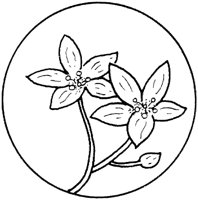 WFD062B.TIF
