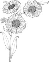 WFD062A.TIF