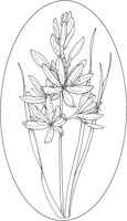 WFD057A.TIF